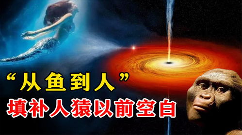人类从何而来 最近我国科学家找到 从鱼到人 的关键证据