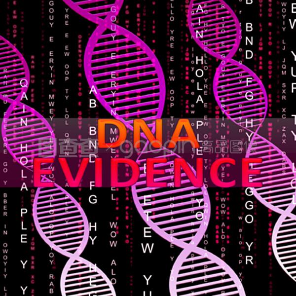 dna证据意味着遗传证据三维插图