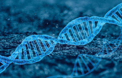 妈妈如何影响子女身高、寿命?剑桥科学家找到新证据,或有望帮助后代长高、长寿