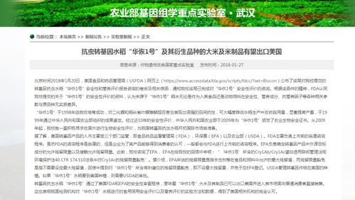 破除谣言 新冠肺炎与转基因大米无关